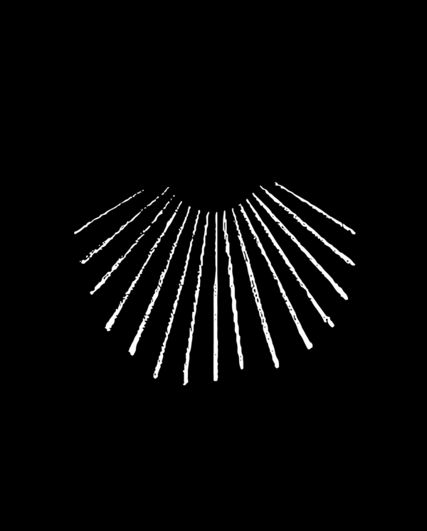 BLEY OIL — OIL FRAGRANCE